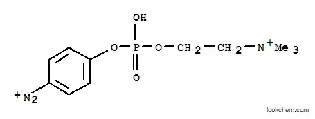 p-디아조늄 페닐포스포릴콜린