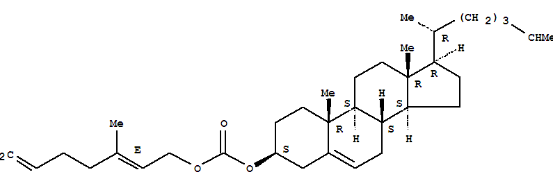 Click to see the large picture