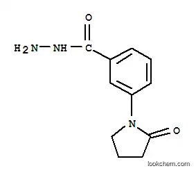 벤조산, 3-(2-옥소-1-피롤리디닐)-, 히드라지드(9CI)
