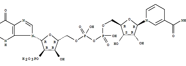 Nicotinamidehypoxanthinedinucleotidephosphatereducedtetrasodiumsalt