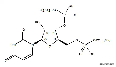 우리딘 3'-디포스페이트 5'-디포스페이트