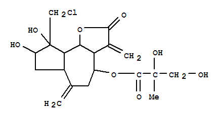 Click to see the large picture