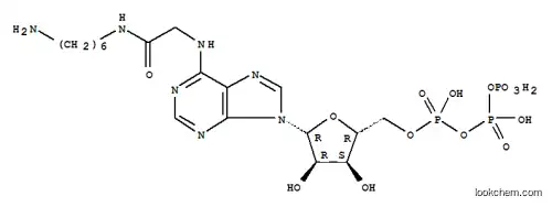 N(6)-((6-아미노헥실)카바모일메틸)ATP