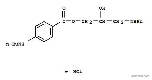 2-히드록시-3-(페닐아미노)프로필 p-(부틸아미노)벤조에이트 염산염