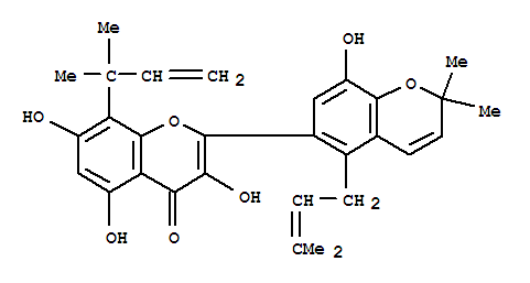 Click to see the large picture