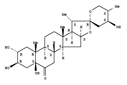 Click to see the large picture