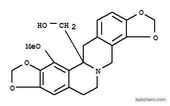 ジジンロンジン