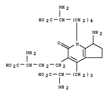 Click to see the large picture