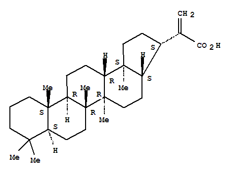 Click to see the large picture