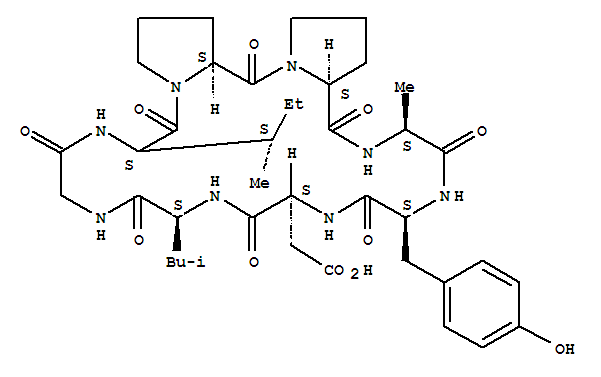 Click to see the large picture