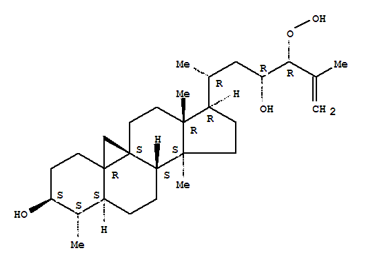 Click to see the large picture