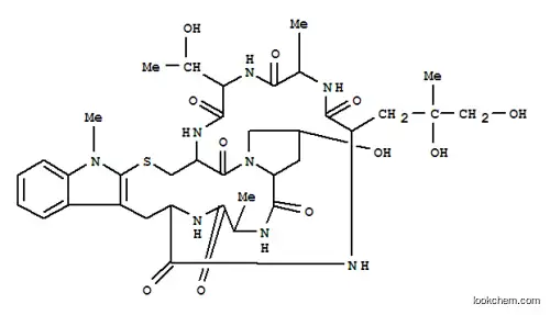N-메틸팔로이드