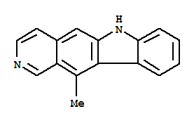 Click to see the large picture