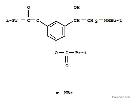 ビス(2-メチルプロパン酸)5-[2-[(1,1-ジメチルエチル)アミノ]-1-ヒドロキシエチル]-1,3-フェニレン?臭化水素酸塩
