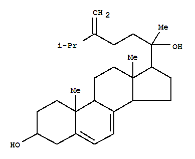 Click to see the large picture