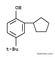 4-tert-부틸-2-사이클로펜틸페놀