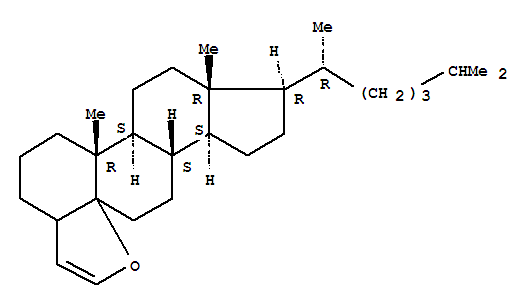 Click to see the large picture