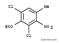 1,3-디클로로-2-에톡시-5-메틸-4-니트로벤젠