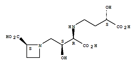 Click to see the large picture