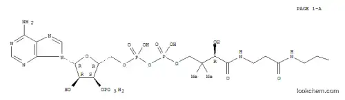 3-히드록시-3-메틸-4-카르복시부틸-조효소 A