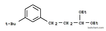 (3-tert-부틸)-1-(3,3-디에톡시프로필)벤젠