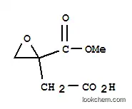 옥시란아세트산, 2-(메톡시카르보닐)-(9CI)