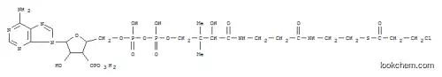 3-클로로프로피오닐-조효소 A