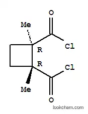 1,2-시클로부탄디카르보닐 디클로라이드, 1,2-디메틸-, 트랜스-(9CI)