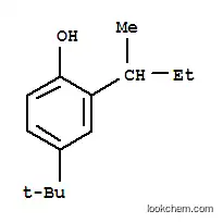 2-SEC-4-TERT 부틸페놀