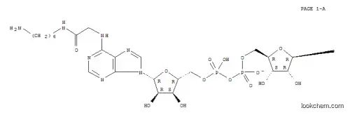 N-6-(N-(6-아미노헥실)카르바모일메틸)-NAD