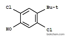 2,5-DICHLORO-4-TERT-부틸페놀