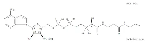 메틸렌 시클로 프로필 아세틸 -CoA