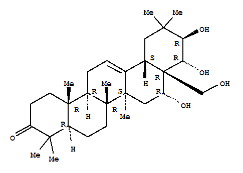 Click to see the large picture