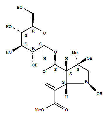 shanzhiside methylester