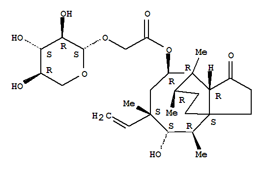 Click to see the large picture