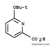 2-피리딘카르복실산,6-(1,1-디메틸에톡시)-(9CI)