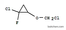 시클로프로판, 1-클로로-2-(클로로메톡시)-1-플루오로-(9CI)