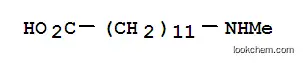 12-メチルアミノラウリン酸