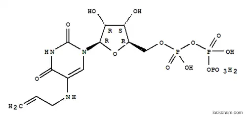 (AA-UTP) 나트륨 염
