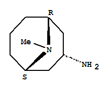 Endo-9-methyl-9-azabicyclo[3,3,1]-nonan-3-amine