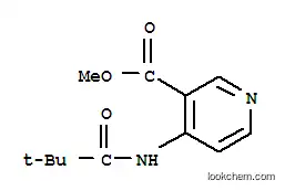 4-(2,2-디메틸-프로피오닐라미노)-니코틴산 메틸 에스테르