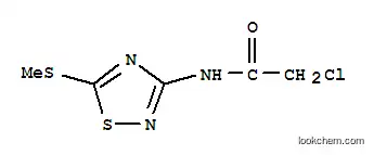 2-CHLORO-N-(5-METHYLTHIO-1,2,4-THIADIAZOL-3-YL)아세트아미드