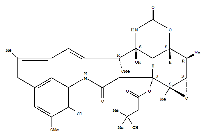 Click to see the large picture