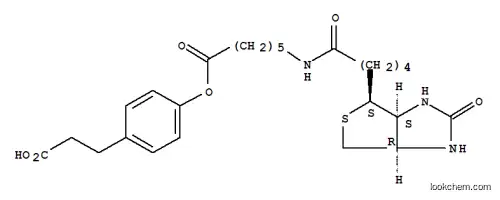 3-(4-(N-비오티노일-6-아미노카프로일옥시)페닐)프로피온산