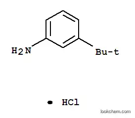 3-tert-부틸라닐린 HCL