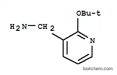 3-(아미노메틸)-2-터부톡시피리딘