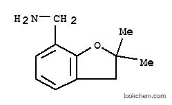(2,2-DIMETHYL-2,3-DIHYDRO-1-BENZOFURAN-7-YL)메틸아민