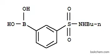 3-N-BUTYLSULFAMOYLPHENYL 붕소 산