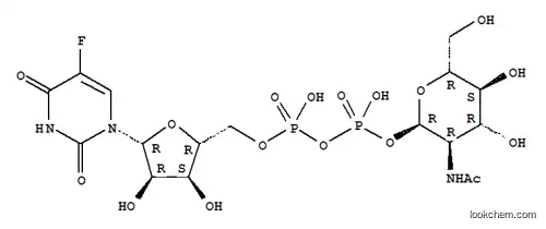 5-플루오로-2'-데옥시우리딘 디포스페이트-N-아세틸글루코사민
