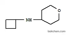 시클로부틸-(TETRAHYDRO-PYRAN-4-YL)-아민